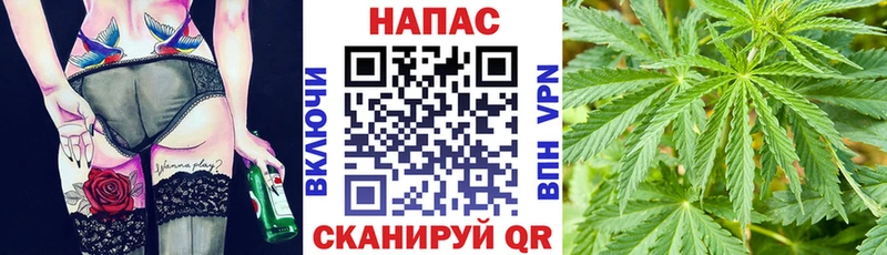 Бошки Шишки Amnesia Пучеж